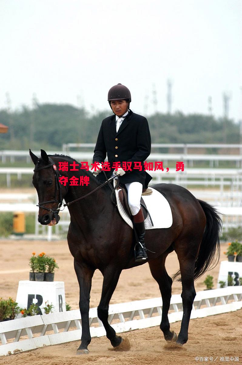 瑞士马术选手驭马如风，勇夺金牌