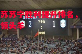 利记-江苏苏宁胜利提升排名，追赶领头羊