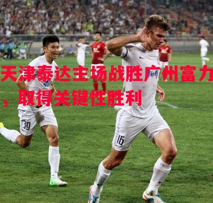 天津泰达主场战胜广州富力，取得关键性胜利