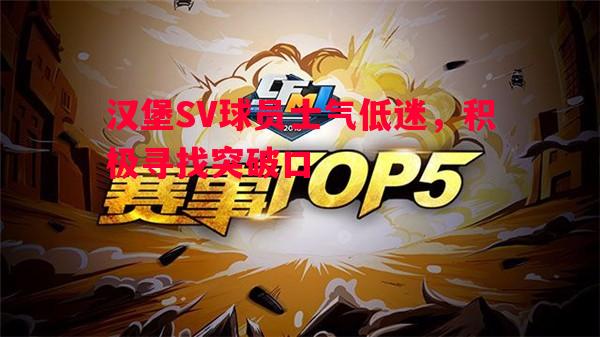 汉堡SV球员士气低迷，积极寻找突破口