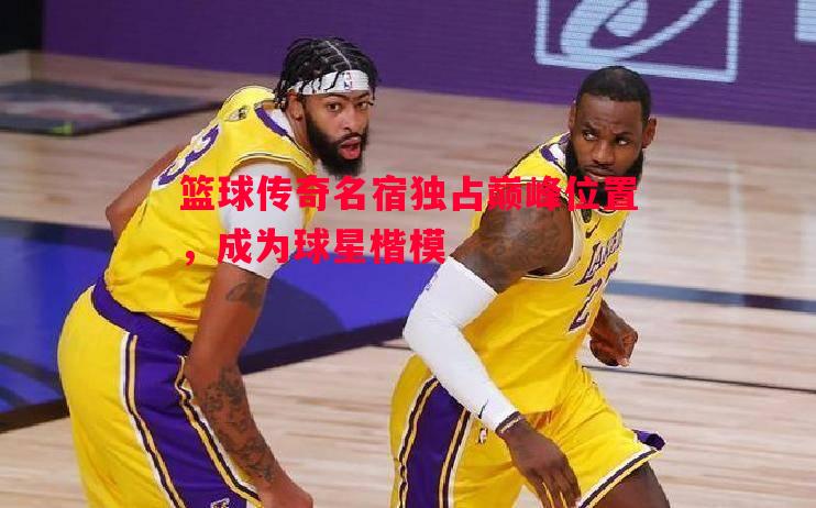 利记官方网站-篮球传奇名宿独占巅峰位置，成为球星楷模