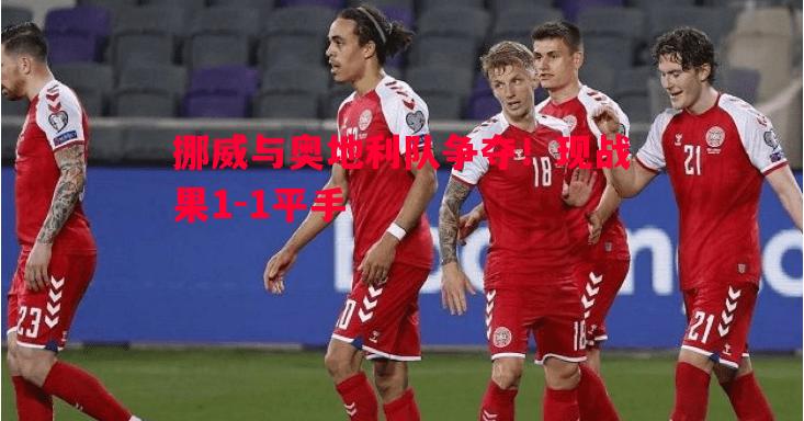 利记平台-挪威与奥地利队争夺!现战果1-1平手 利记平台-挪威与奥地利队争夺!现战果1-1平手